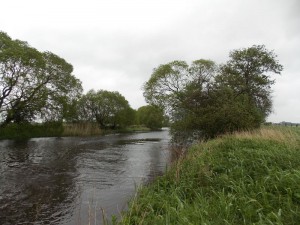 Hamme 2014 8