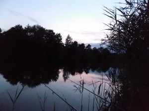 Spätangeln201411